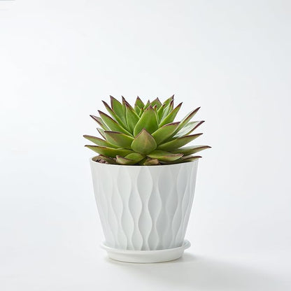 FaithLand 6-Pack 6-Inch Plastic Plant Pots with Saucers | Thickened PP Material, Modern Wave Texture, Enhanced Drainage for Indoor/Outdoor Garden Plants | White Value Set