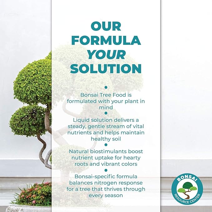 Bonsai Care Bundle