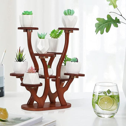 9 Pots Mini Succulent Stand Windowsill Small Plant Stand Multi Layers Succulents Display Shelf Kitchen Windowsill Desk Tabletop Plant Holder
