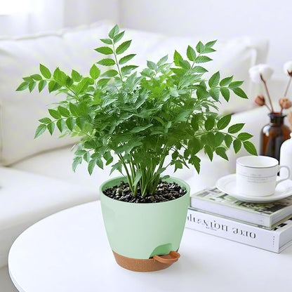 5-Pack Plant Pots with Drainage for Winter Care 7/6.5/6/5.5/5 Inch, Self Watering Pots for Indoor Plants, Planters for Indoor Outdoor Plants, Plastic Flower Pot, Planter for Indoor Outdoor (Green)