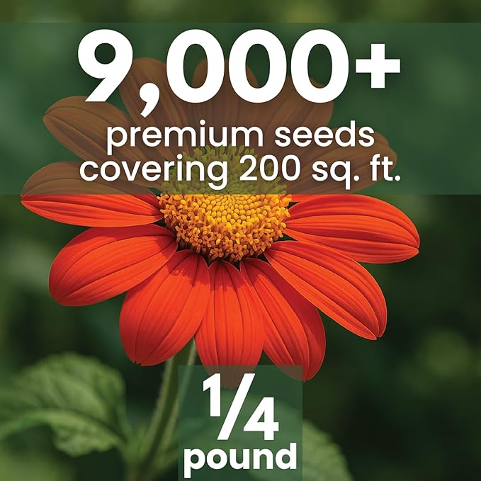 Mexican Sunflower (Red) – 9,000 Seeds for Planting – 4-Ounce Pack – 2026 Growing Season