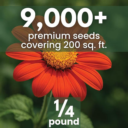 Mexican Sunflower (Red) – 9,000 Seeds for Planting – 4-Ounce Pack – 2026 Growing Season