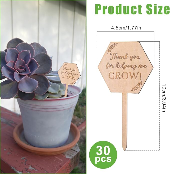 30Pcs Thank You for Helping Me Grow Succulent Tags Wedding Favors, Hexagon Baby Succulents Favors Tags Wooden Plant Labels, Teachers Appreciation Gift Wooden Garden Stakes Thanksgiving Gift Tag