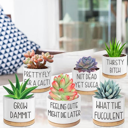 6pcs Funny Succulent Plant Pots, 3.15'' Ceramic Small Succulent Planters with Drainage Hole and Bamboo Tray, Cute Flower Pots for Indoor/Outdoor Plants, Birthday Gifts for Women - Plants Not Included