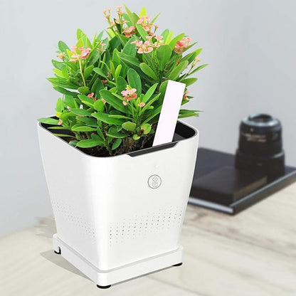 Plastic Plant Labels 8 Inch 50 PCS Garden Plant Tags Nursery Garden Labels Waterproof Flower Marker for Decoration