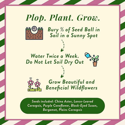Modern Sprout Wildflower Seed Ball Poop - Non-GMO, Hand-Rolled Clay Seed Bombs with Wildflower Seeds - Plop Plant & Grow Gardening Gift Set for Kids & Adults - (Magical Plop - Pack of 3)