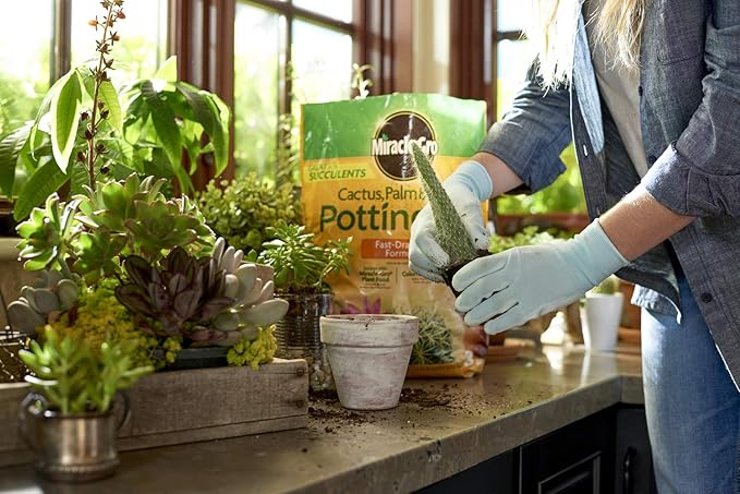 Miracle-Gro Cactus, Palm & Citrus Potting Mix, 8 qt.