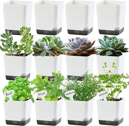 3 inch Small Nursery Pots, Seedling Pots, 20 Pack Plastic Plant Pots for Indoor Outdoor Plants, Decorative White Succulent Flower Pots with Drainage Holes and Saucers