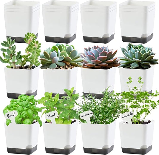 3 inch Small Nursery Pots, Seedling Pots, 20 Pack Plastic Plant Pots for Indoor Outdoor Plants, Decorative White Succulent Flower Pots with Drainage Holes and Saucers