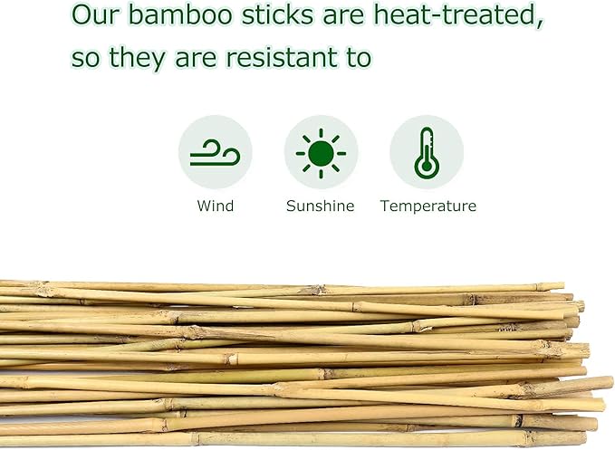6ft Bamboo Garden Stakes Eco-Friendly Plant Stakes 6 Feet, Bamboo Poles for Tomatoes Beans Climbing Plants Support - Pack of 20 Bamboo Stakes
