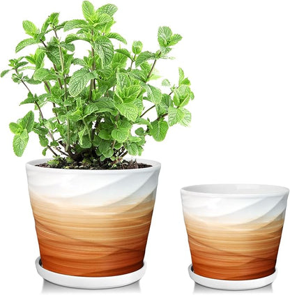 6.7 + 5.5 Inch Plant Pot,Ceramic Planter with Drainage and Saucer,Ceramic Pots for Plants,Indoor Plant pots,Planters for Indoor Plants(Khaki + White)