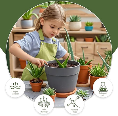 Aloe Vera Potting Soil Mix 4qt, Ready to Use for Seedling and Growing of Aloe Vera Plants or Other Houseplants