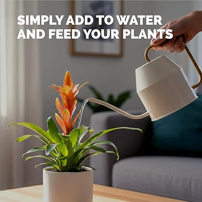 Bromeliad Fertilizer – Liquid Plant Food for Bromeliad Plants, 32oz