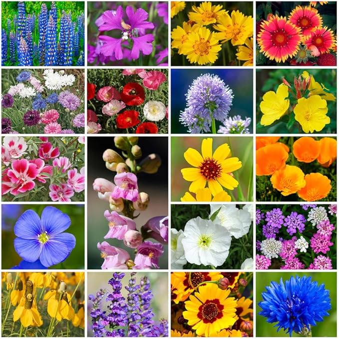 Park Seed Grow Your Own Vibrant Annual and Perennial Wildflower Garden Seeds Mixture, Easy to Grow Varieties for Pollinators and Spring Gardens - Western Regional Mix, 50 lbs