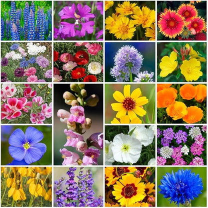 Park Seed Grow Your Own Vibrant Annual and Perennial Wildflower Garden Seeds Mixture, Easy to Grow Varieties for Pollinators and Spring Gardens - Western Regional Mix, 50 lbs
