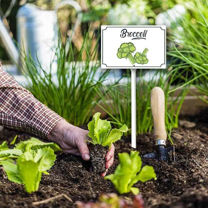 Boylee Aluminum 8x12inch Broccoli Garden Signs with Stake for Vegetables, Herbs, Flowers & Potted Plants