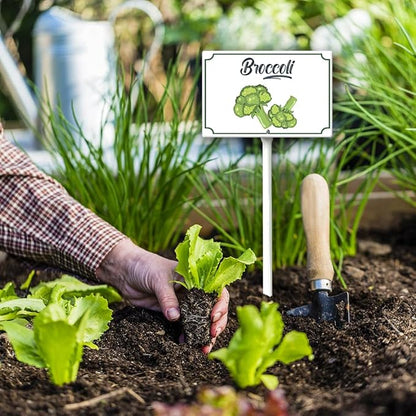 Boylee Aluminum 8x12inch Broccoli Garden Signs with Stake for Vegetables, Herbs, Flowers & Potted Plants