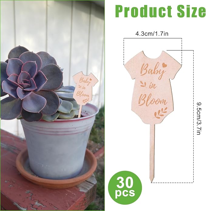 30Pcs Baby in Bloom Succulent Tags Wedding Favors, Hexagon Plant Sticks Wooden Stake Signs for Wedding Bridal Shower Baby Shower Decorations Anniversary Succulent Party Wraps for Favors
