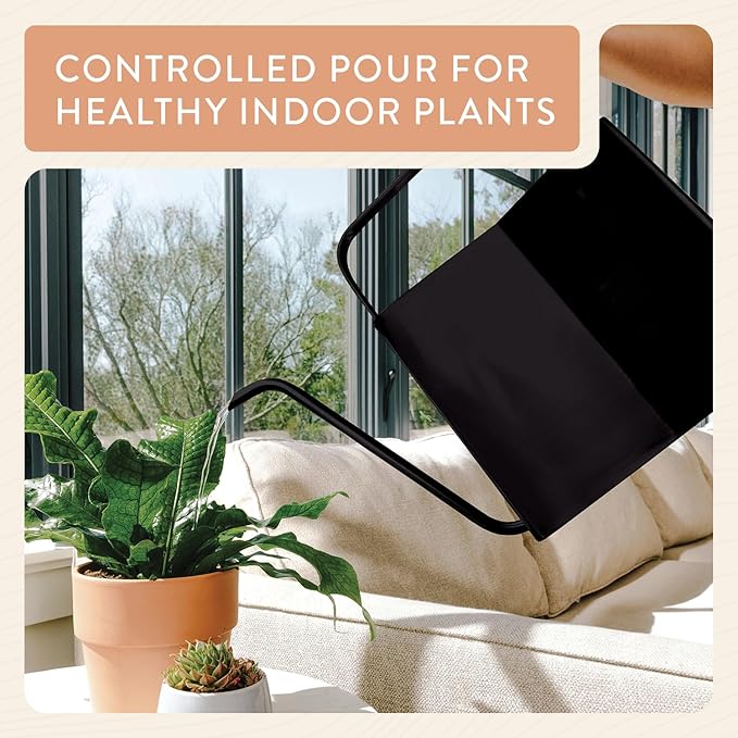 Modern Sprout Brass Finish Plant Watering Can - 3L Capacity - Long Spout Stainless Steel Vessel for Outdoor & Indoor Plants - Rust Resistant - Garden Accessory for Houseplants & Decorative Use (Black)