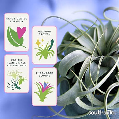 Air Plant Fertilizing Spray by Southside Plants - Fertilizer Mist for Houseplants, Weekly Plant Food - Gentle Mist Formula for Miracle Feed & Grow - 7.3 oz