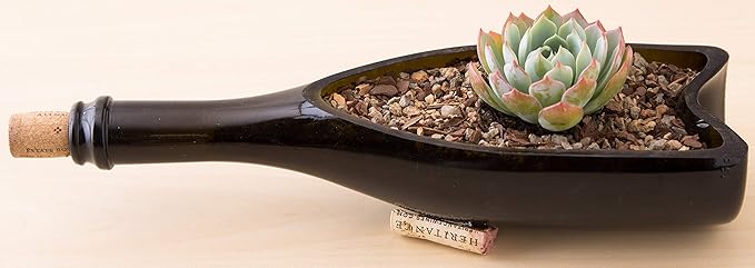 Bonsai Jack Succulent, Cactus and Bonsai Soil - Jacks Gritty Mix - 6 Gallons – Fast Draining – Fight Root Rot – Optimized pH