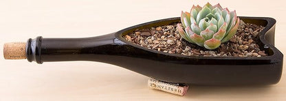 Bonsai Jack Succulent, Cactus and Bonsai Soil - Jacks Gritty Mix - 2 Quarts – Fast Draining – Fight Root Rot – Optimized pH