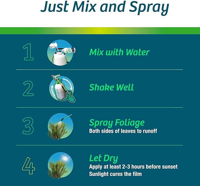 Wilt-Pruf® Concentrate | Protect Against Winter Damage, Drought, and Stress | Just Spray & Let Dry | Locks in Moisture w/Clear Foliar Film | Professional-Grade & Trusted | Replaces Burlap | (16 oz)