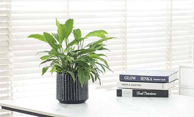 Arktiva Ceramic Planter Pot with Drainage Hole, 5 Inch Dia, Indoor and Outdoor, Home Patio Garden, Plants Flower Succulent, Textured Round (Black)