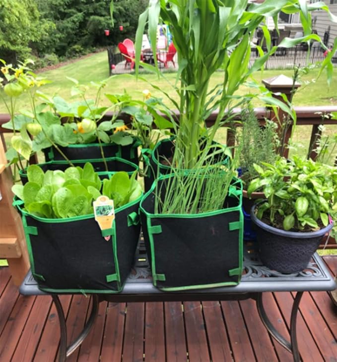 Lawei 5 Pack 10 Gallon Square Grow Bags, Thick Fabric Cubic Plant Pots with Handles, Heavy Duty Breathable Nursery Bags for Vegetables, Flowers, Plants, Indoor and Outdoor Gardening