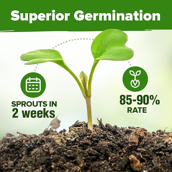 HOME GROWN Organic Herb Seeds Variety Pack - Non GMO, Heirloom 5100+ High-Germinating Heirloom Seeds for Planting Indoor Outdoor Spring Herb Garden Hydroponics Garden Seeds, Basil Cilantro & More