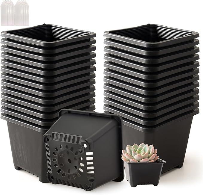 50 Packs Square Nursery Pots for Plants 4 Inch Succulent Plant Pots Set Plastic Seedling Starting Pots with Drainage Holes Nursery Pots Variety Pack Flower pots Planter Seed Starter, Black