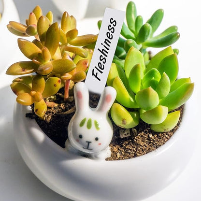 KINGLAKE 300 Pcs 4 Inch Plastic Plant Nursery Garden Labels Pot Marker Garden Stake Tags White with Marking Pen