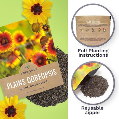Plains Coreopsis Seeds – Native Flowers – Extra Large Packet – Over 100,000 Open Pollinated Non-GMO Wildflower Seeds – Coreopsis tinctorial