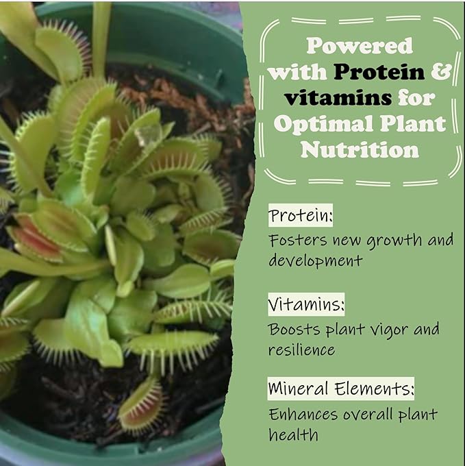 Venus Flytrap Food, Solid Gel Carnivorous Plant Food, 2.5OZ. Designed for Venus Fly Trap, Sundew, Pitcher Plants and Other Carnivorous Plants