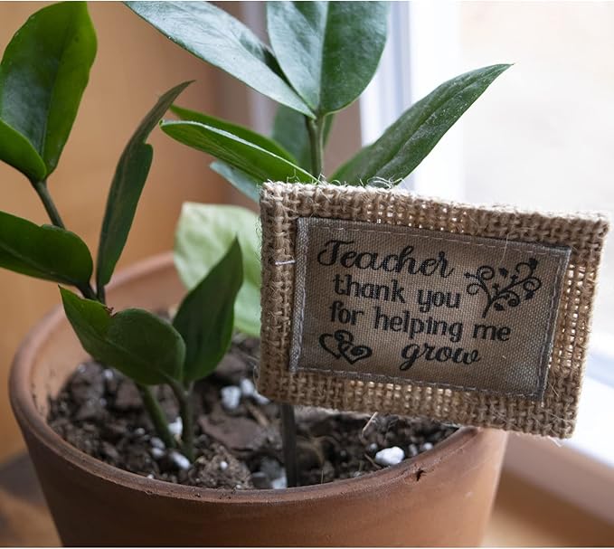 Abbey & CA Gift Teacher Thank You Flag Flower Pick