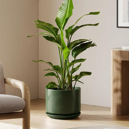 LE TAUCI 12 Inch Pots for Plants, Ceramic Plant Pots with Drainage Holes and Saucers, Elegant and Durable Large Plant Pot, Perfect for Home & Office Decor, Green