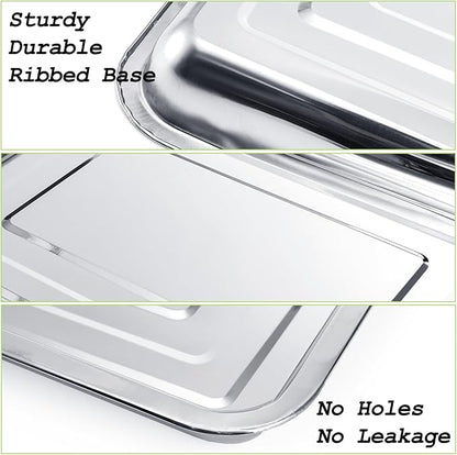Youeon 10 Pack Seed Starter Tray 15.3x11.4x1.3 Inch, Stainless Steel Seed Sprouting Trays Germination Trays for Beans, Wheat Grass, Herbs, Broccoli & More, Plant Trays for Indoor Outdoor