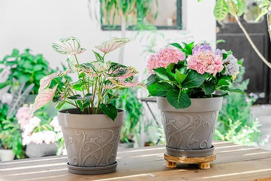 Melphoe Plant Pots Indoor with Drainage & Saucer, 2Pack 10 inch Flower Pots Outdoor Planters for Indoor Plants Garden Home Decor Cactus Succulent, Rigid Plastic (Imitation-Terracotta) Vine-Embossed