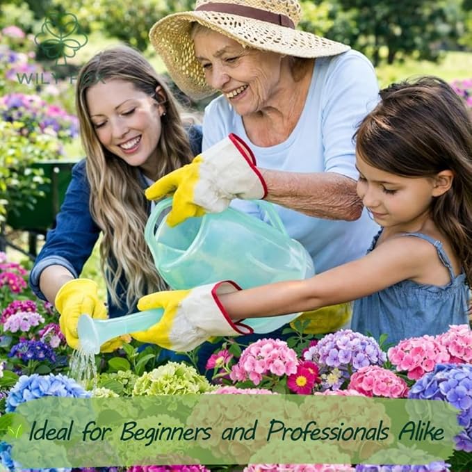 Hydrangea Seeds for Planting - 50 Heirloom Classic Flower Seeds - Beautiful Blooming Ornamental Shrub for Home Garden, Borders & Containers