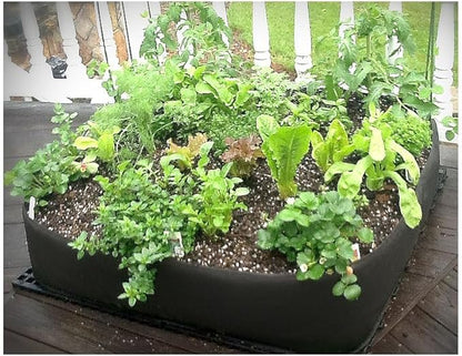 4 ft X 4 ft Victory 8 EZ-GRO Raised Garden Bed Big Square Grow Your OWN No Assembly