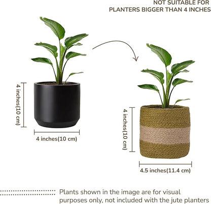 Jute Planter Basket-Woven Jute Rope Covers for Decorating Indoor/Outdoor Succulents, Small Plant Pots-Set of 2-Multi-Purpose Storage Bins 4.5 Inches - Modern Style Décor - Olive & Natural