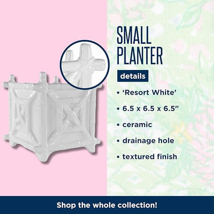 Lilly Pulitzer Small Planter for Indoor Plants or Flowers, Ceramic Pot with Drainage, Resort White (Bamboo)