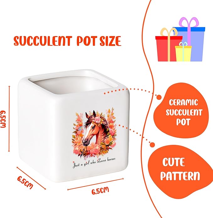 Horse Succulent Planter Flower Plant Pot Small, Gifts for Women Teens Girls Kids, Horse Lovers Themed Stuff Accessories Things Decor Merch, Home Office Table Desk Decoration!