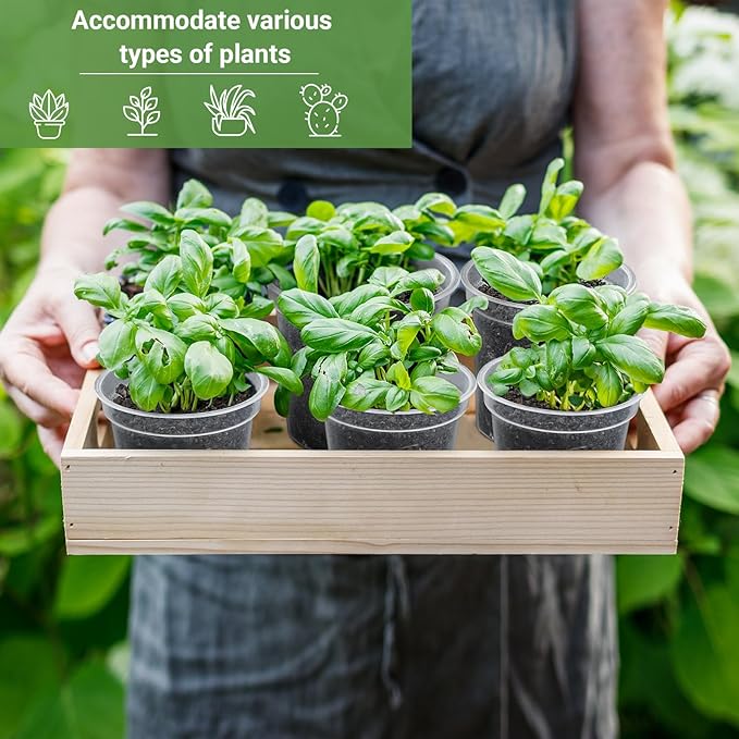 GREANER 60 Packs Clear Plant Nursery Pots, 3 Inch Plastic Pot with Drainage Holes, Reinforced Flower Seed Starter Pot for Indoors Outdoor Plants with 20 Plant Labels - Transparent