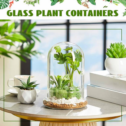 1 Pcs 5.9 x 7.9 Inch Glass Terrarium Clear Terrarium Planter Container Glass Dome Cloche with Airhole and Base for Plant Flower Home Tabletop Display Centerpiece, Plants Not Included