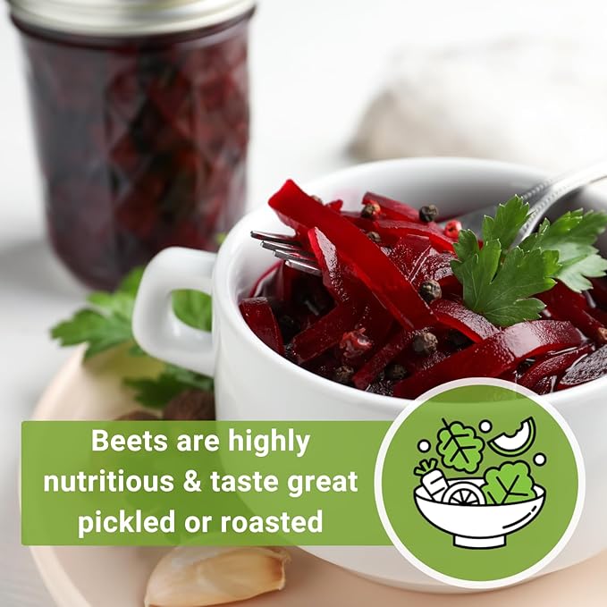 Sow Right Seeds - Bulk Detroit Dark Red Beet Seeds for Planting - 1 Ounce, 1600 Seeds - Non-GMO Heirloom Jumbo Pack with Instructions to Grow an Outdoor Home Vegetable Garden - Always Have Beets