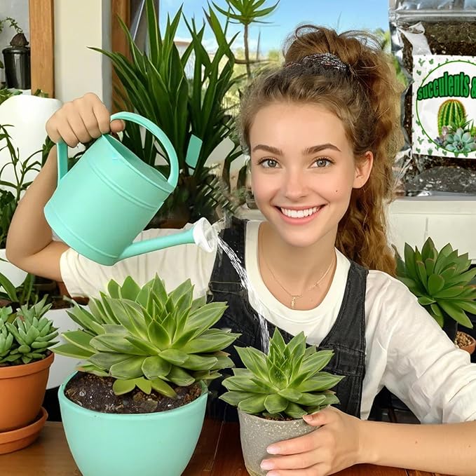 Cactus & Succulent Soil Mix 1qt, Chunky Well-Draining Soil for Indoor Plants - Spike & Bloom