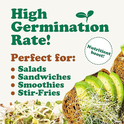 Food to Live Organic Spicy Mix of Sprouting Seeds, 1.5 Pounds — Non-GMO Broccoli, Radish, Alfalfa, Raw, Rich Germination Rate, Non-Irradiated, Pure, Kosher, Vegan Superfood, Bulk, Rich Sulforaphane
