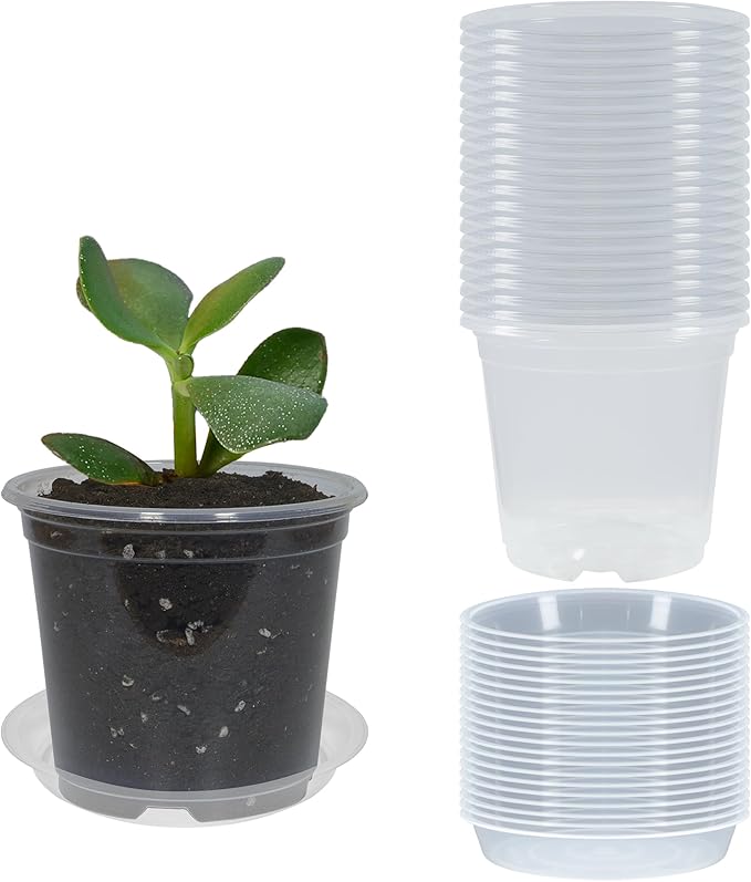 20 Pack 3 Inch Clear Nursery Pots with Drainage and 20 Pack Plant Saucers, Plant Pots for Plants Transparent Potting Containers for Plants Seeding Starter Pot (Clear, 3 Inch)