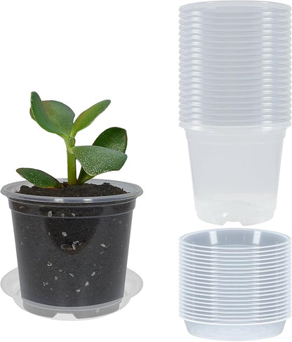 20 Pack 3 Inch Clear Nursery Pots with Drainage and 20 Pack Plant Saucers, Plant Pots for Plants Transparent Potting Containers for Plants Seeding Starter Pot (Clear, 3 Inch)